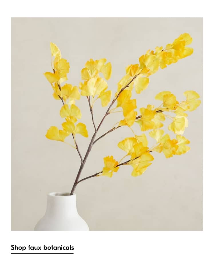 shop botanicals